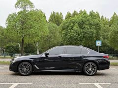 BMW 5 Series 530Li Premier M Sport Package - ფოტო 8