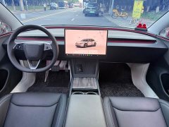 Tesla Model 3 Long Range Rear-Wheel Drive - ფოტო 11