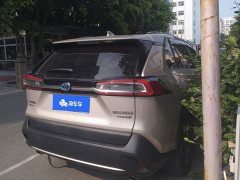 Toyota Wildland Dual-Engine 2.5L E-CVT AWD Luxury PLUS Version - ფოტო 3