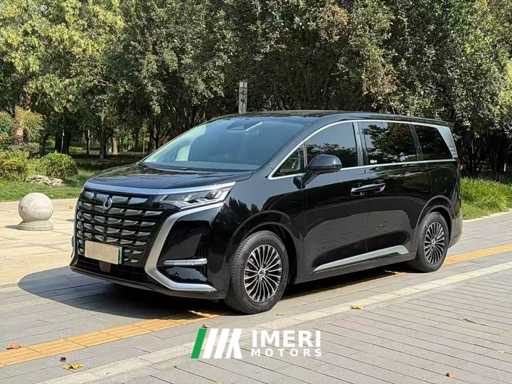 Denza D9 DM-i 970 Luxury