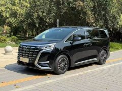 Denza BYD Denza D9 2024 DM-i 970 Luxury - ფოტო 1