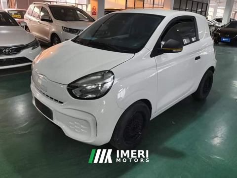2021 Roewe Corey Wei CLEVER 302km New Four-Seat Super Version