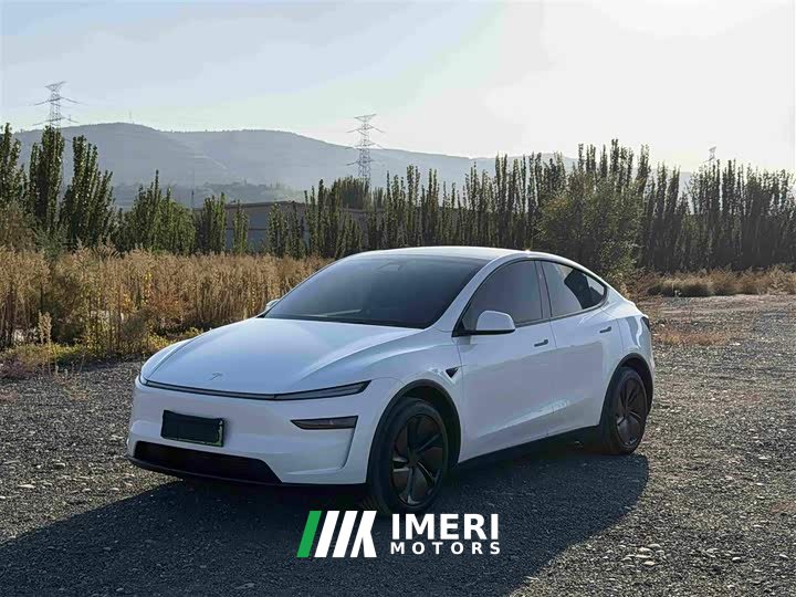 Tesla Model Y Rear-Wheel Drive - ავტომობილი ჩინეთიდან