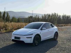Tesla Model Y Rear-Wheel Drive - ფოტო 1