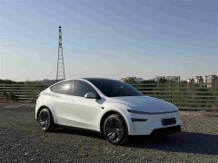 Tesla Model Y Rear-Wheel Drive - ფოტო 3