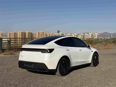 Tesla Model Y Rear-Wheel Drive - ფოტო 4