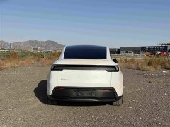 Tesla Model Y Rear-Wheel Drive - ფოტო 5