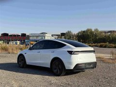 Tesla Model Y Rear-Wheel Drive - ფოტო 6
