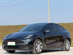 Tesla Model Y Rear-Wheel Drive - ფოტო 1