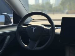Tesla Model Y Rear-Wheel Drive - ფოტო 10