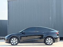 Tesla Model Y Rear-Wheel Drive - ფოტო 15
