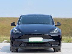 Tesla Model Y Rear-Wheel Drive - ფოტო 2
