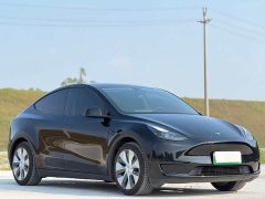 Tesla Model Y Rear-Wheel Drive - ფოტო 3