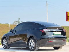 Tesla Model Y Rear-Wheel Drive - ფოტო 6