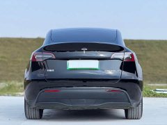 Tesla Model Y Rear-Wheel Drive - ფოტო 7