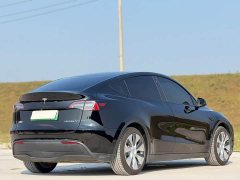 Tesla Model Y Rear-Wheel Drive - ფოტო 8