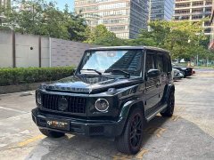 Mercedes-Benz G-Class G 350 - фото 1