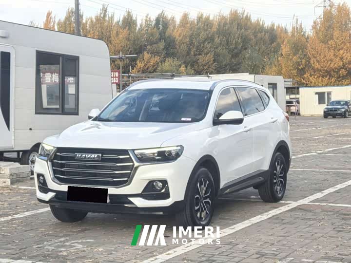 Haval H6 2021 National Trend Edition 1.5T Automatic Urban Version - ავტომობილი ჩინეთიდან