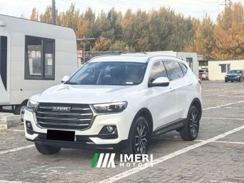 2022 Haval H6 National Trend Edition 1.5T Automatic Urban Version