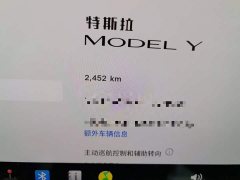 Tesla Model Y Rear-Wheel Drive - ფოტო 13