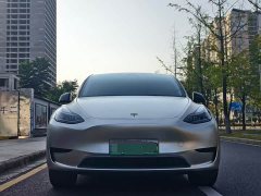 Tesla Model Y Rear-Wheel Drive - ფოტო 2