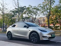 Tesla Model Y Rear-Wheel Drive - ფოტო 3