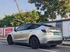 Tesla Model Y Rear-Wheel Drive - ფოტო 7