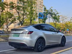 Tesla Model Y Rear-Wheel Drive - ფოტო 9