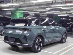 Arcfox Alfa T 688E Forest Edition 160kW - ფოტო 5
