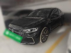 Volkswagen Passat 330TSI Starry Sky Luxury Edition - ფოტო 1