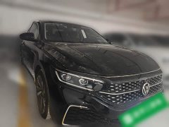 Volkswagen Passat 330TSI Starry Sky Luxury Edition - ფოტო 3