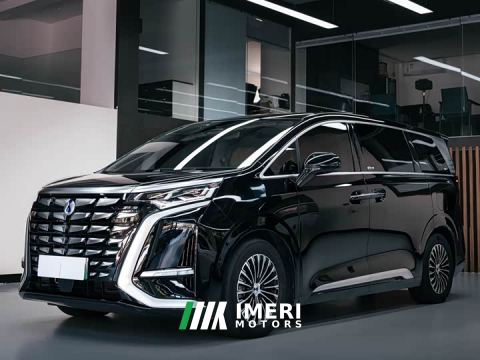 2024 Denza D9 DM-i 1050 Premium