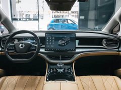 Denza BYD Denza D9 DM-i 1050 Premium - ფოტო 14