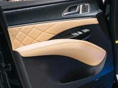 Denza BYD Denza D9 DM-i 1050 Premium - ფოტო 15