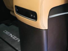 Denza BYD Denza D9 DM-i 1050 Premium - ფოტო 19
