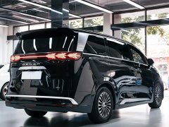 Denza BYD Denza D9 DM-i 1050 Premium - ფოტო 3