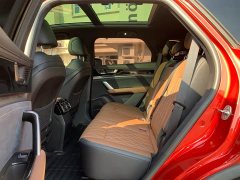 BYD Tang New Energy 2021 DM-i 112KM Premium Edition - ფოტო 15