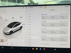 Tesla Model Y L Long Range All-Wheel Drive - ფოტო 16