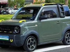 Geely Panda mini 200km Little Yellow Duck Limited Edition Lucky Ya - ფოტო 1