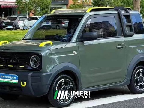 2023 Geely Panda mini 200km Little Yellow Duck Limited Edition Lucky Ya - ავტომობილი ჩინეთიდან