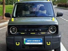 Geely Panda mini 200km Little Yellow Duck Limited Edition Lucky Ya - ფოტო 2