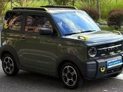 Geely Panda mini 200km Little Yellow Duck Limited Edition Lucky Ya - ფოტო 3