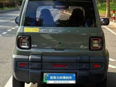 Geely Panda mini 200km Little Yellow Duck Limited Edition Lucky Ya - ფოტო 5