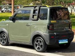Geely Panda mini 200km Little Yellow Duck Limited Edition Lucky Ya - ფოტო 6