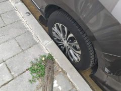 Buick GL8 Land Executive Cabin 652T Luxury - ფოტო 6