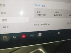 Tesla Model 3 Standard Range RWD Upgrade - ფოტო 13