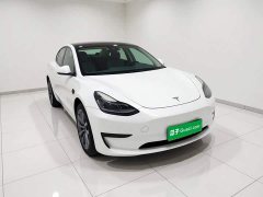 Tesla Model 3 Standard Range RWD Upgrade - ფოტო 3