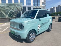 Geely Panda Mini 200km Endurance Edition - ფოტო 1
