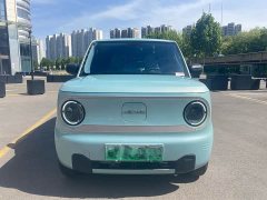Geely Panda Mini 200km Endurance Edition - ფოტო 2