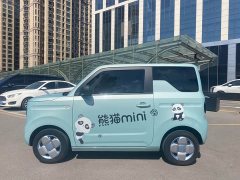 Geely Panda Mini 200km Endurance Edition - ფოტო 3